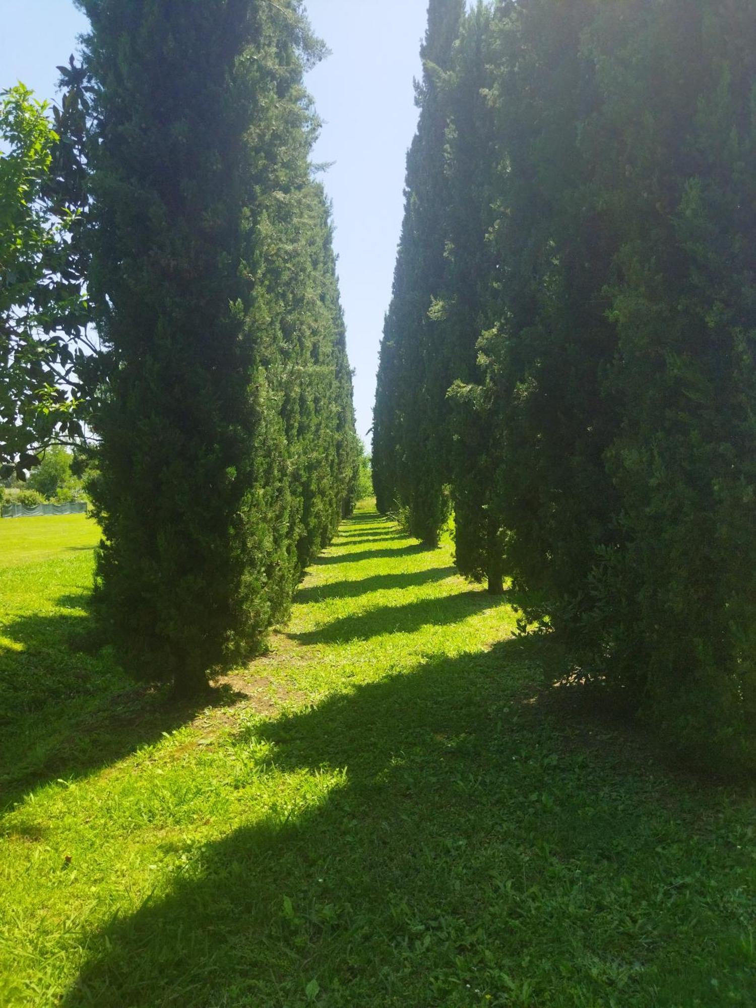 Villa Fontana คาปานโนริ ภายนอก รูปภาพ